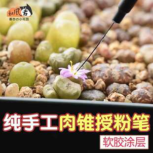 ����ֲ������������ʯ�����F�ڷ۹P����ܛ�z�T���ֹ�