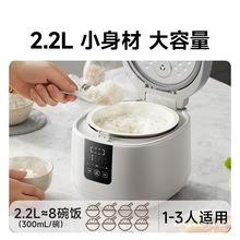 С��΢����������DFB-D20H2���2.2��С�����մ��Ͷ๦�����