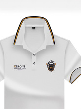 �羳���Q����polo����ʿ����t�����I��a�߶��ļ�2025�����w����