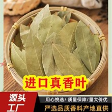 进口香叶真香叶非国产香叶香料批发月桂叶桂叶餐饮饭店用香叶调料