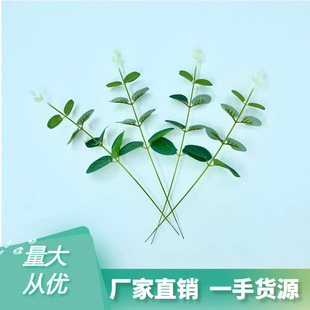 ���R�d���N�����֧�ȼ������X�~�Gֲ�����羳�Ҿ��b�33cm