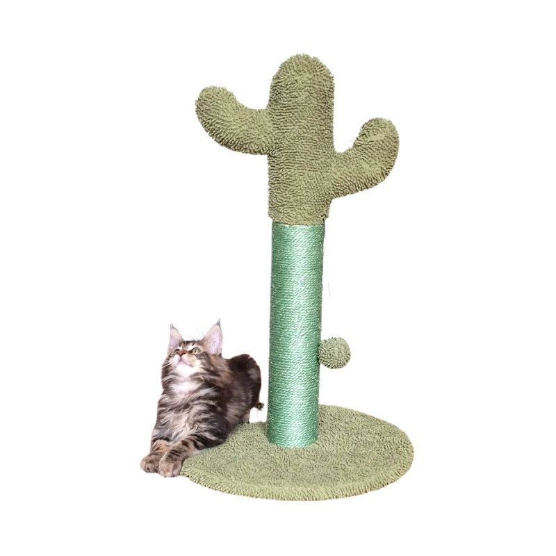 Climbing frame, toy, cactus, pet, Amazon