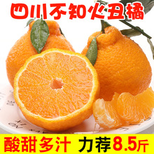 �Ĵ���֪�����ˮ�����r����8.5�ﮔ�����ӰҰҳ������