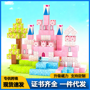 �羳�ҵĴ������K�eľ�����ɫ�����Ǳ����bSTEM������߁��R�d��