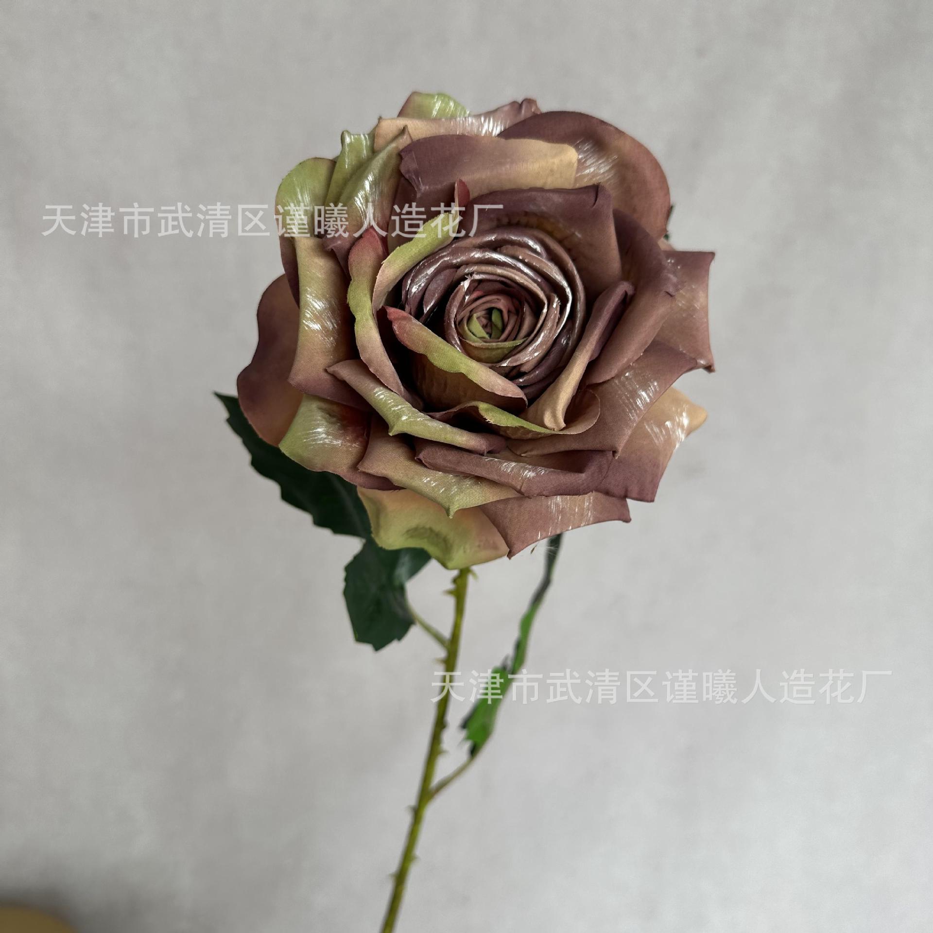 유화 빅 로즈