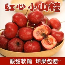 【4731人收藏】甜山楂甜红子红心小山楂鲜果新鲜山楂果山里红水果