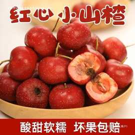 【4731人收藏】甜山楂甜红子红心小山楂鲜果新鲜山楂果山里红水果