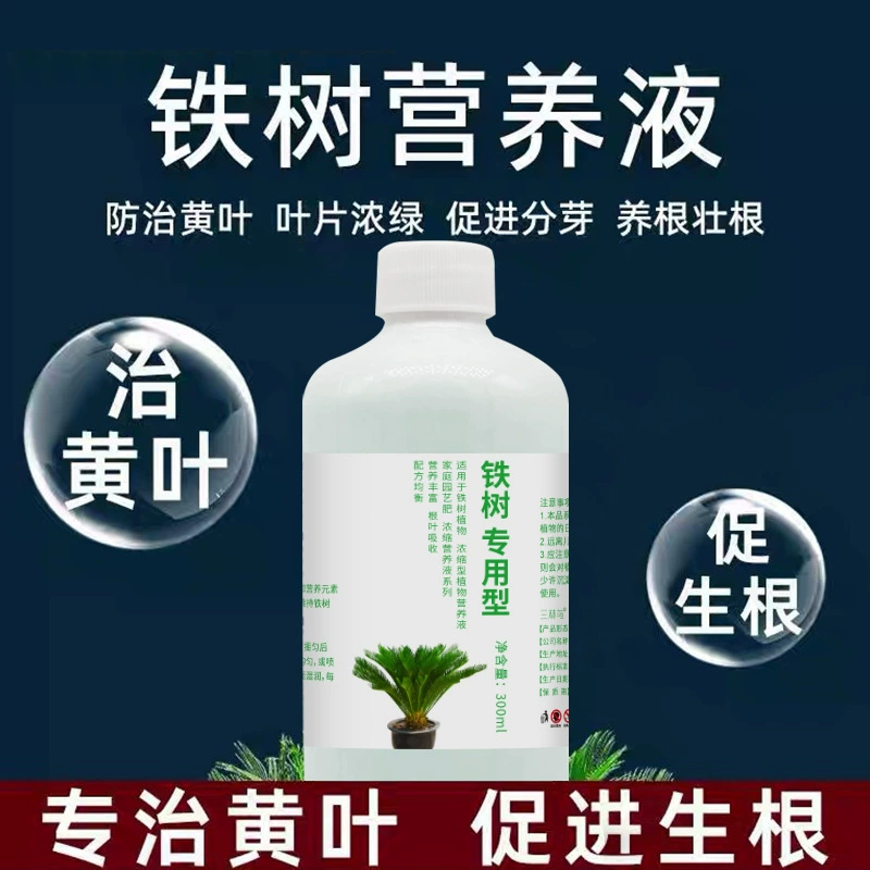 Специальное удобрение для питательного раствора железного дерева, желтение листьев, сухие листья, гниющие корни, срочное зеленое жидкое удобрение, без разведения, прямое распыление.