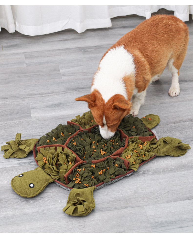 Turtle Sniffing Pad