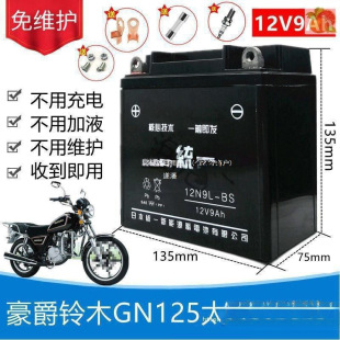 �����ľGN̫��HJ125-8��ʿĦ��܇��S�o��늳�12V9A���ƿ