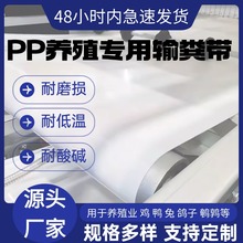 �u�S���S�� pp ��S��ȫ�Ԅ���S�����C��ĥ�ϼS���u���O��ݔ�͎�