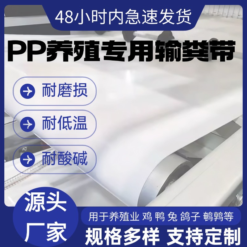 鸡粪出粪带 pp 清粪带全自动清粪神器机耐磨拖粪带鸡舍设备输送带