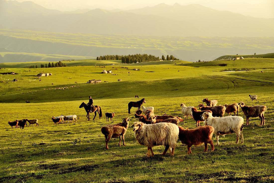 O1CN01gMur6U1jxiZNvfU1C_!!4205214615-0-cib.jpg?__r__=1751767237497