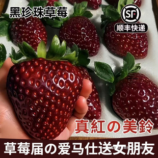 ��S���\��t����ݮ�������ձ��������ݮ���rˮ���Y���b