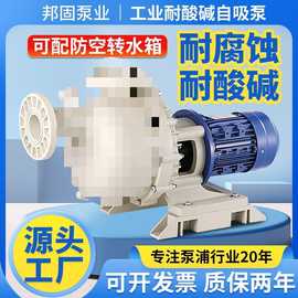 化工自吸泵防腐蚀耐酸碱pp卧式大头氟塑料工业盐酸马肚污水循环泵
