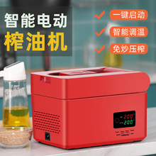 110v/220v 全自动家用榨油机冷热榨中小型可折叠 RG108 oil press