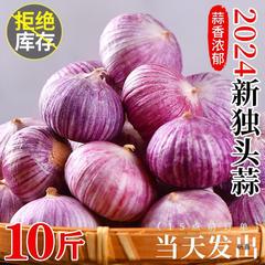 2.5kg ガーリック 2024 季節卸売雲南野菜農家乾燥ニンニク新鮮な紫皮単頭ニンニクガーリック新ニンニク
