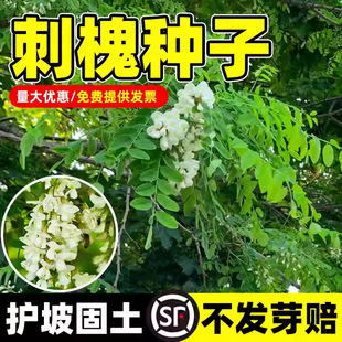 �̻��N���o�¹������ѲݷN�׻��̻����㻨�����뻱�󻱻�����N��