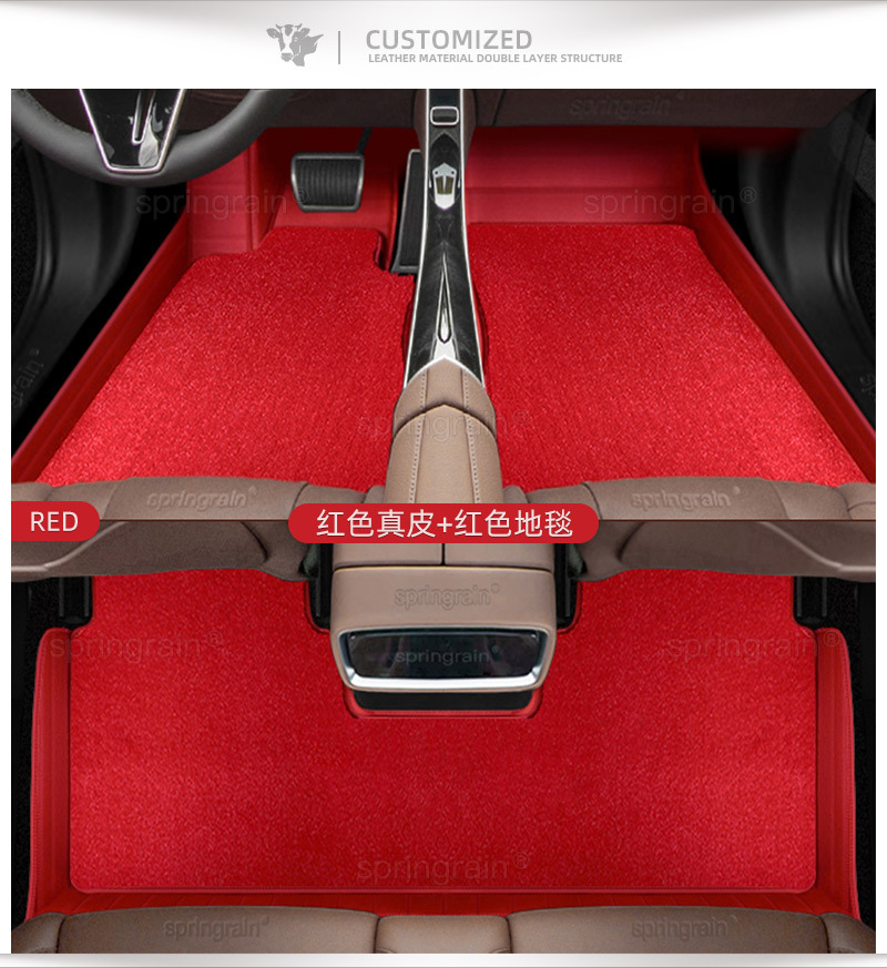 Leapmotor C10 C11 B10 B01 C16 Lafa5 A10 D19 C01 Genuine Leather Full Surround Car Floor Mats