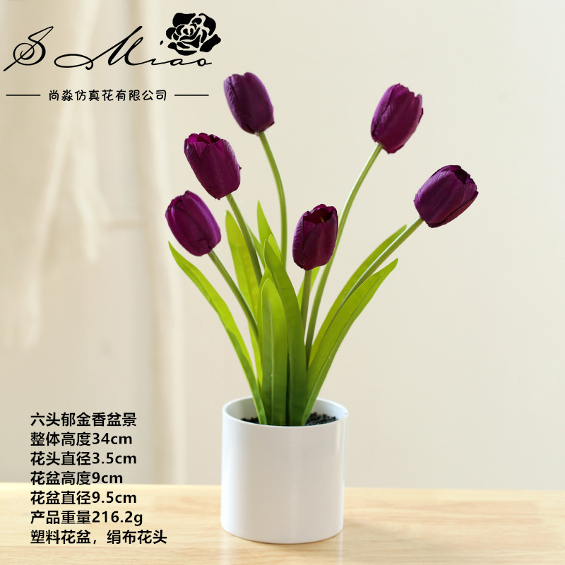 12214 Tulipanes morados marrón claro ☆