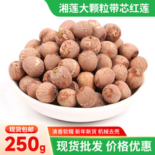 湘潭厂家湘莲大颗粒带芯红莲子250g包邮煮粥炖汤食材红莲干货批发