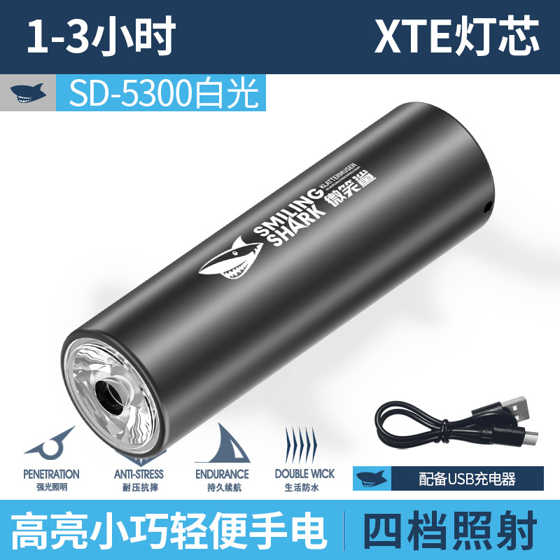 SD-5300 미니 휴대용 손전등 [백색광, 내장 배터리 400MAH]