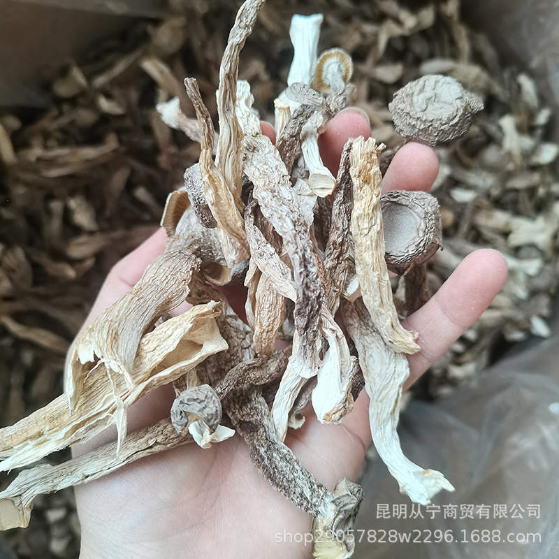 Dried Deer Antler Mushroom 500g Premium Edible Fungus for Soup and Stir Fry specifications