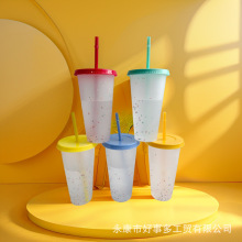 工厂直出爆款遇冷感温变色杯雪花杯pp材质大容量710ml塑料吸管杯