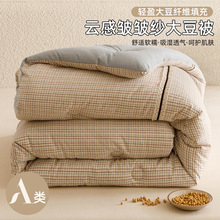 大豆纤维被子被芯春秋被2025新款加厚保暖冬被芯宿舍单双人棉被褥