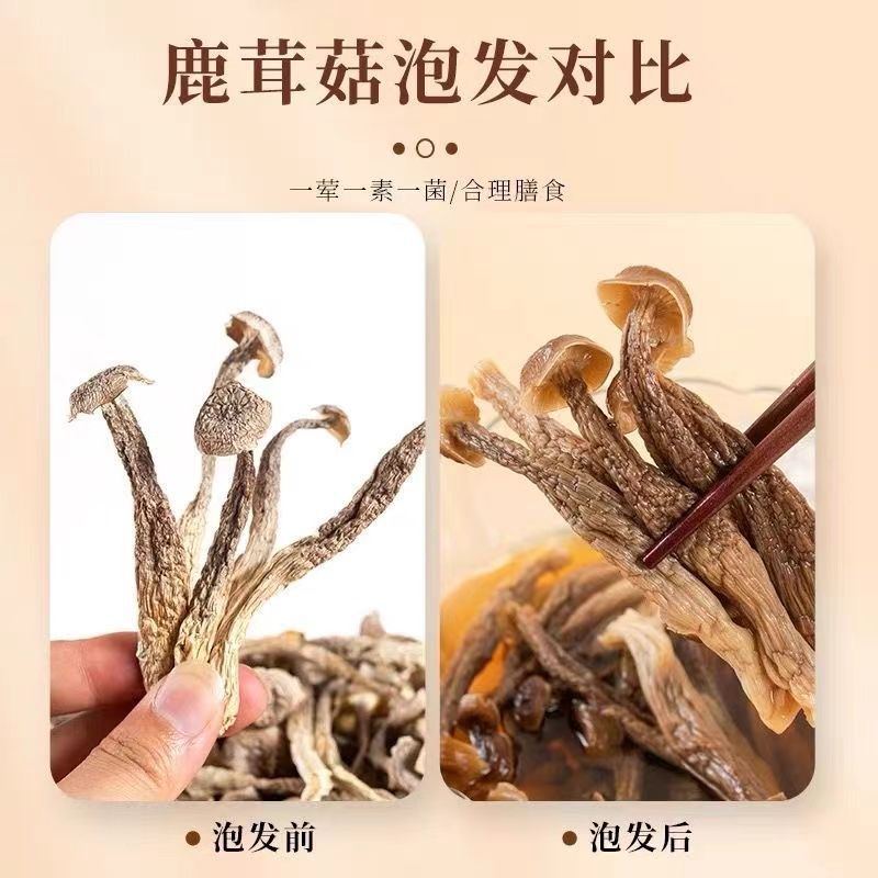 【无干燥剂】鹿茸菇干货新鲜特产鹿耳菇香菇菌菇虫煲汤炒菜|undefined