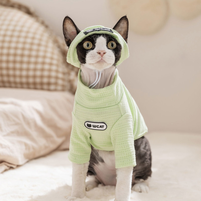 秋冬猫咪清新条纹打底衫帽子套装薄款透气德文猫服饰宠物狗狗衣服|undefined