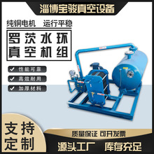 罗茨真空机组 电机驱动性能稳定真空设备综合水处理设备 真空机组