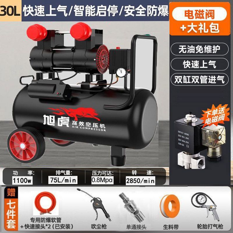 1100W-30 L [솔레노이드 밸브에 몇 초 만에 가스 공급]