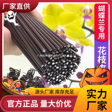 �����m֧�܊A�ӌ��ù̶�����������F�z�������@ˇ����ֲ��֧�ΗU