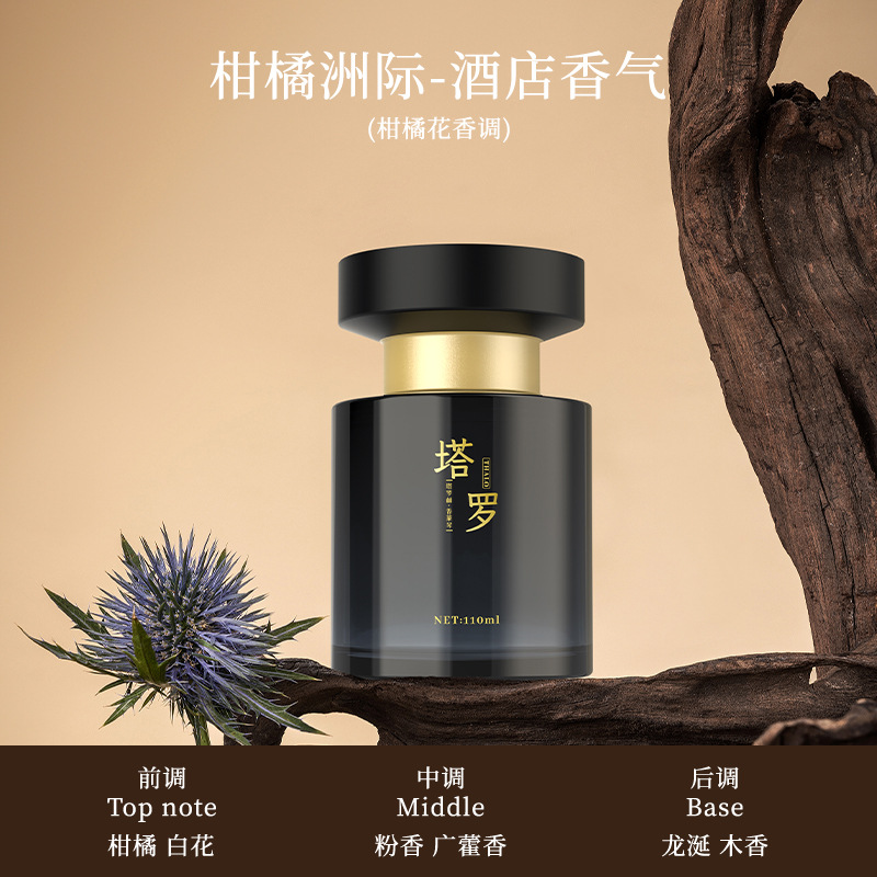 【조대】감귤 대륙