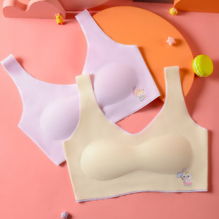 Summer Thin Bra Girls' Underwear Girls' Development Period Traceless Small Vest Junior High School Students Wrap Breast Tube