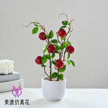 �ٻ��S�Ҹߙn����ˮ���辰�����҃�С�[�����컨�Gֲ�����������l