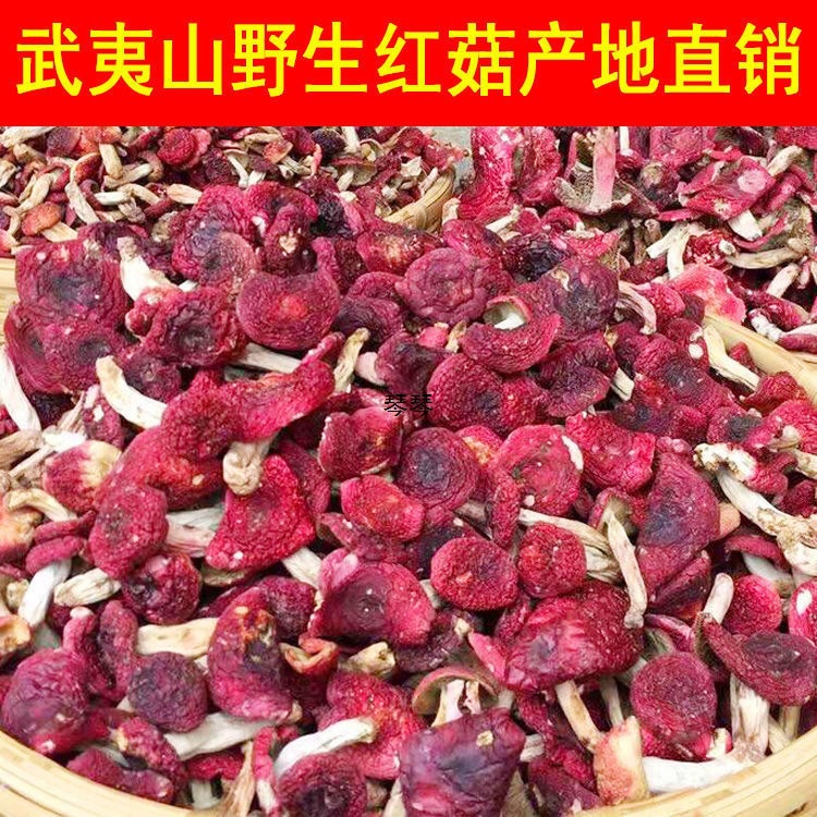 红菇福建野生500蘑菇生野菇干货云南红菇红椎红姑菇类干货