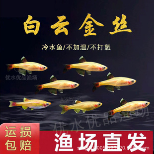 ��녽�z�~�S��zС����ˮ�~���Ӝص�ˮС�~�^�p�~���B�ͻ�ԭ���~