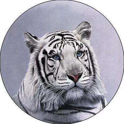 Sleeves Print Sunscreen and — Spare wheel cover