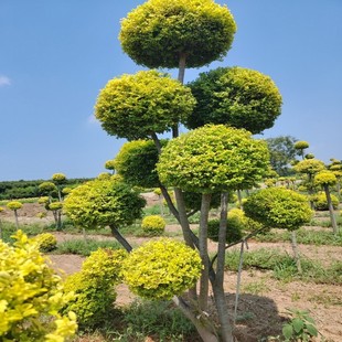 ����Ůؑ���Ι���֮����N���͘��ļ����������ֲ��e��ͥԺ����