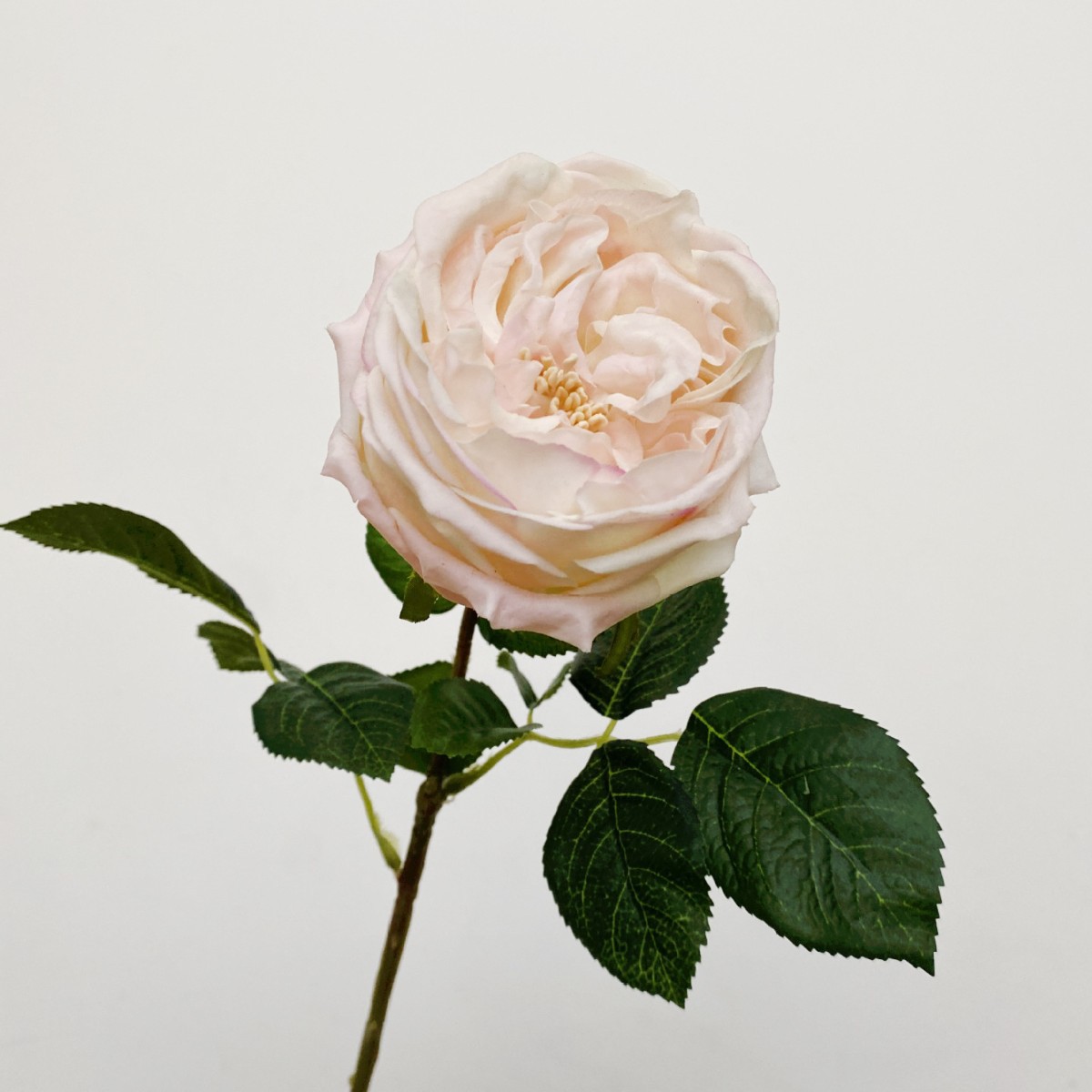 Rosas Austin simuladas, flores artificiales de alta calidad con tacto realista y efecto hidratante, ideales para arreglos de boda y decoración del hogar.
