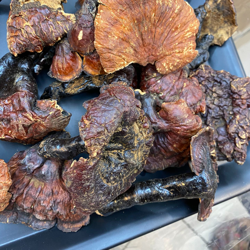 Shangri-La Deep Mountain Reishi White Meat Aromatic 250g - Ideal Gift for Elders, Perfect for Wine brewing and Soup Cooking, Nourishing from Bomi Linzhi