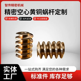 精密空心黄铜蜗杆定制多头小模数蜗杆走心机加工微型马达传动蜗杆