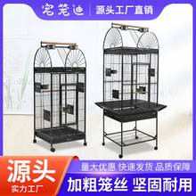 工厂直营大型鹦鹉笼 钢管宠物笼 繁殖鸟笼鹦鹉笼 parrot cages
