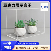 ���������Ӷ���͸��ˮ���бPճ�ӳ���չʾ�������������