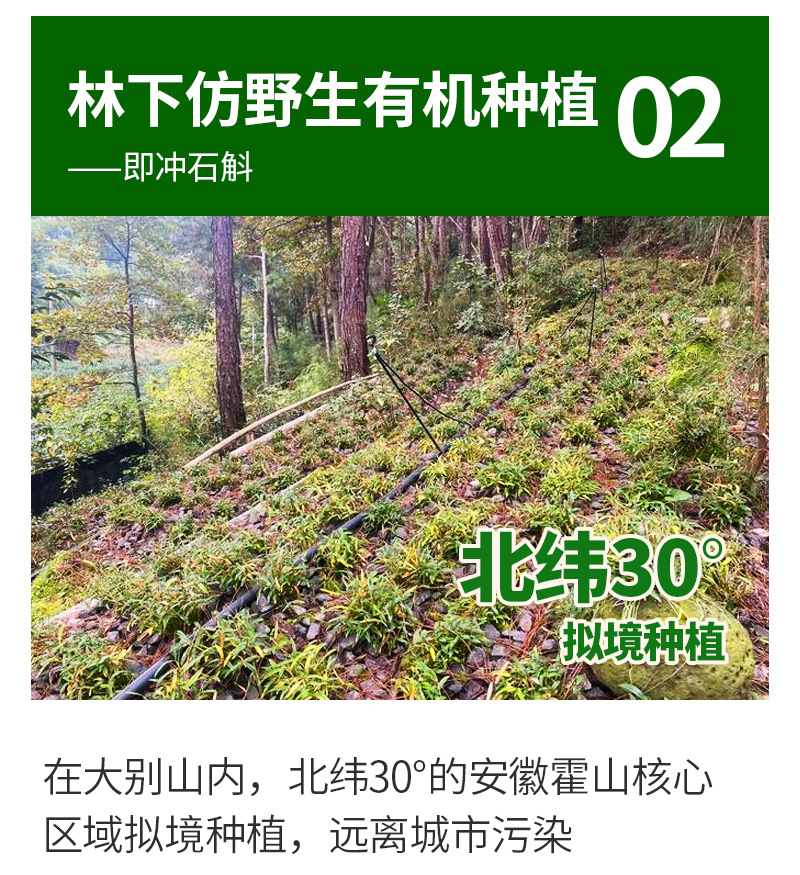 Freeze-Dried Shi Hu (Dendrobium officinale) — Instant Iron-Skin Dendrobium Gift Box key features