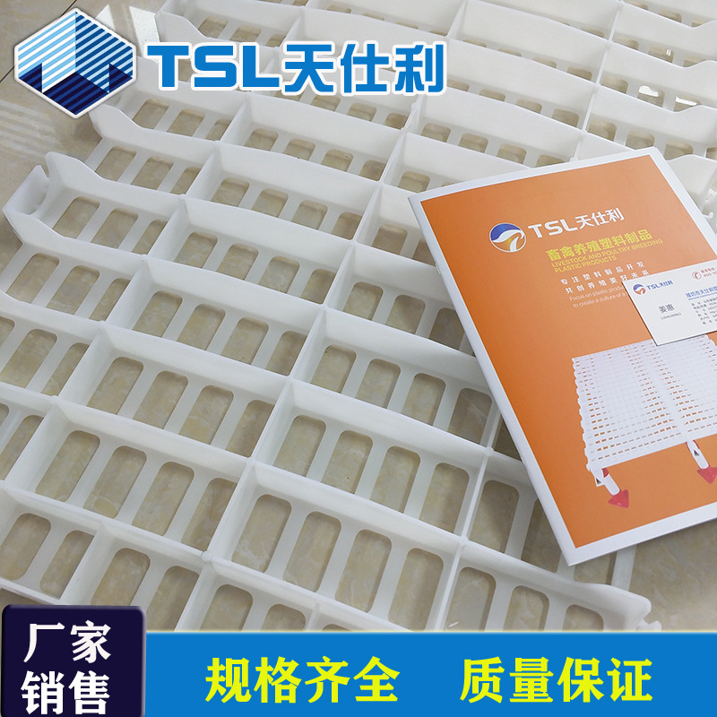塑料漏粪地板1200*500*40mm 养鸡用纯原料生产白色漏缝板