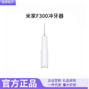 늄ӛ_����F300 �Լ��ñ�yʽ��ˮ���L�m�������}�_ϴ����2
