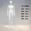 直手右迈腿（小胸款）